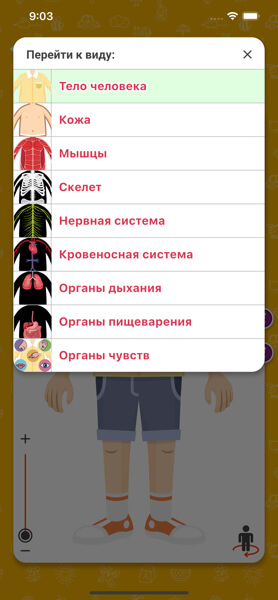 Анатомия для детей