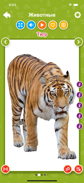 Животные для детей